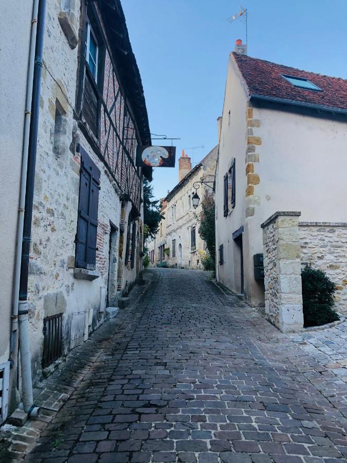 L'Echappee En Sologne Villa Mennetou-sur-Cher Exteriör bild